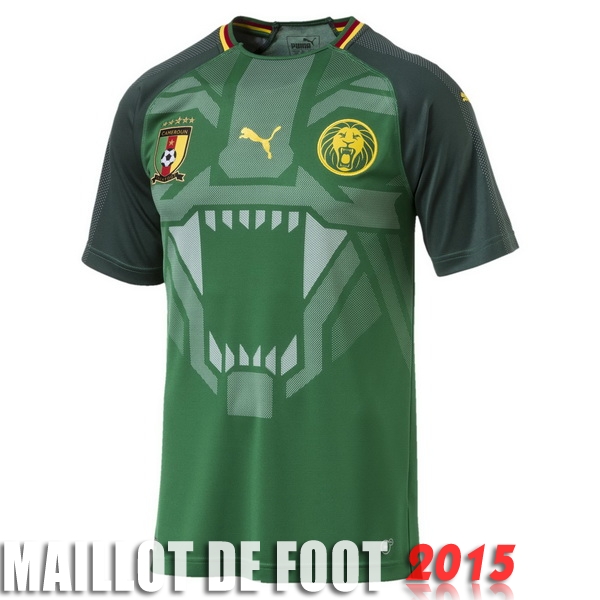 Maillot De Foot Cameroun Mondial 2018 Domicile