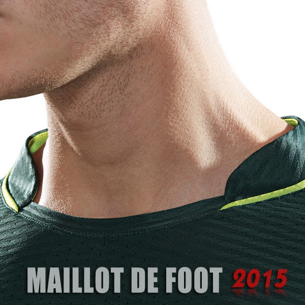 Maillot De Foot Chapecoense 17/18 Domicile