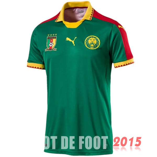 Maillot De Foot Cameroun Mondial 2019 Domicile