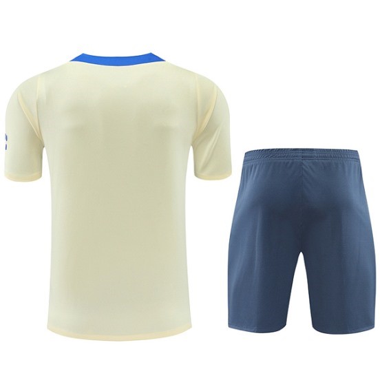 Maillot De Foot Entrainement Ensemble Complet Inter Milan 24/25 Jaune Gris