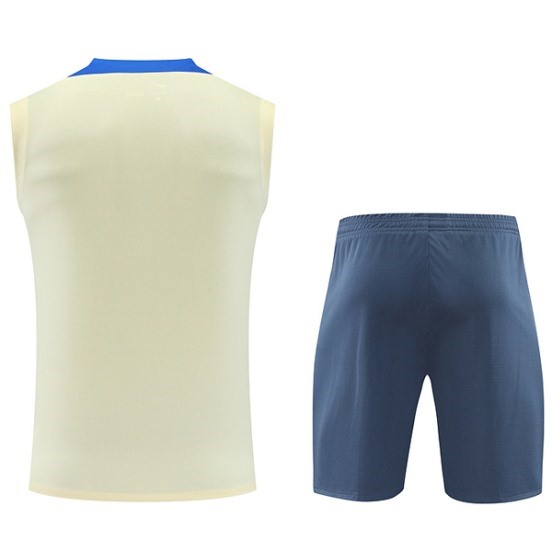 Maillot De Foot Entrainement Sans Manches Ensemble Complet Inter Milan 24/25 Jaune Gris