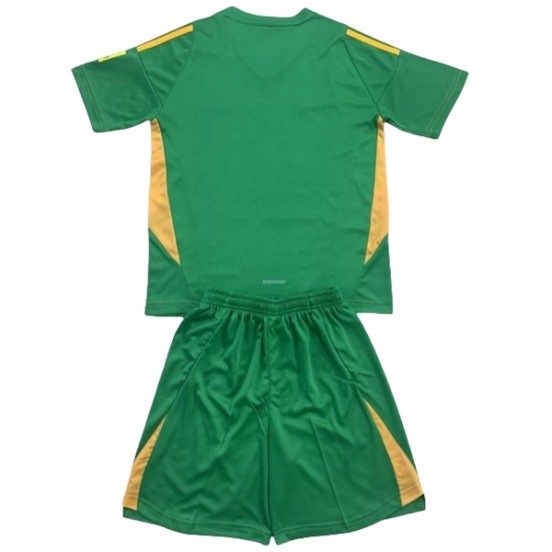 Maillot De Foot Gardien Maillot Ensemble Complet Homme Newcastle United 24/25 Vert
