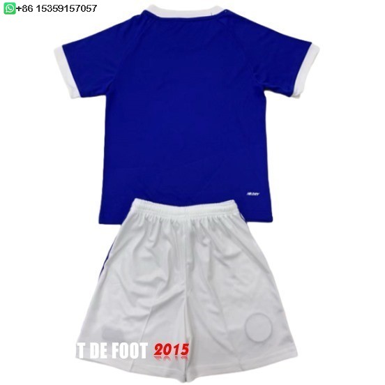 Maillot De Foot Domicile Conjunto De Enfant Cardiff City 24/25