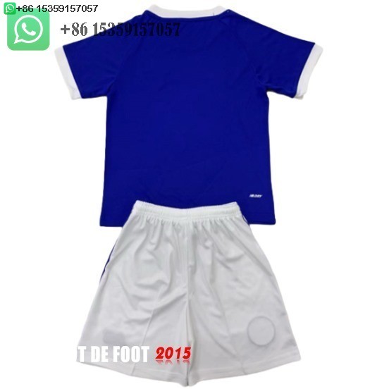 Maillot De Foot Domicile Maillot Ensemble Complet Homme Cardiff City 24/25