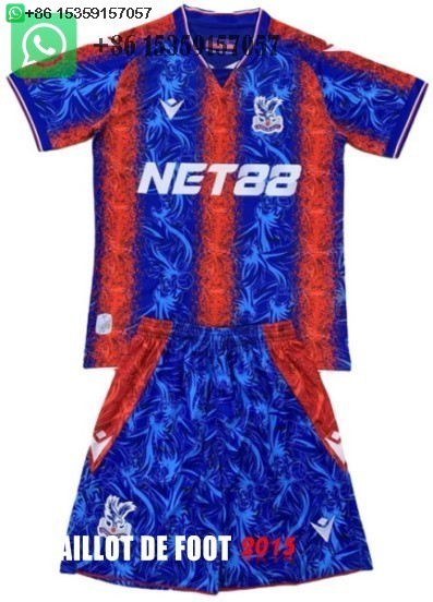 Maillot De Foot Domicile Maillot Ensemble Complet Homme Crystal Palace 24/25