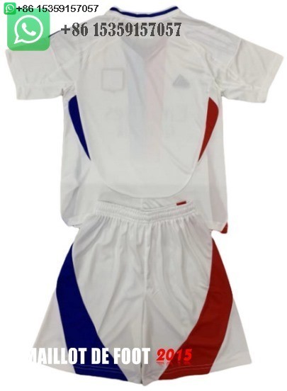 Maillot De Foot Domicile Maillot Ensemble Complet Homme Lyonnais 24/25
