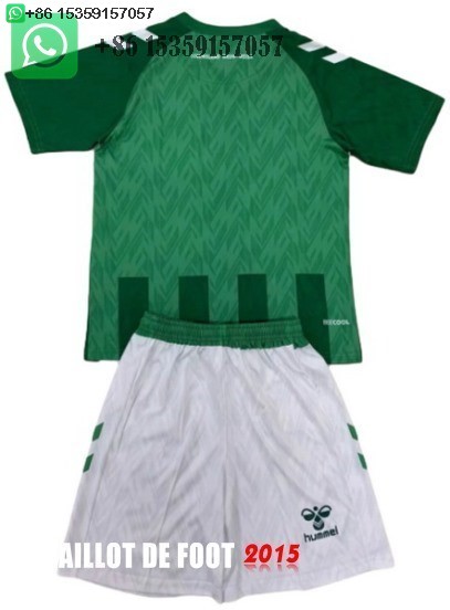 Maillot De Foot Domicile Maillot Ensemble Complet Homme Werder Bremen 24/25