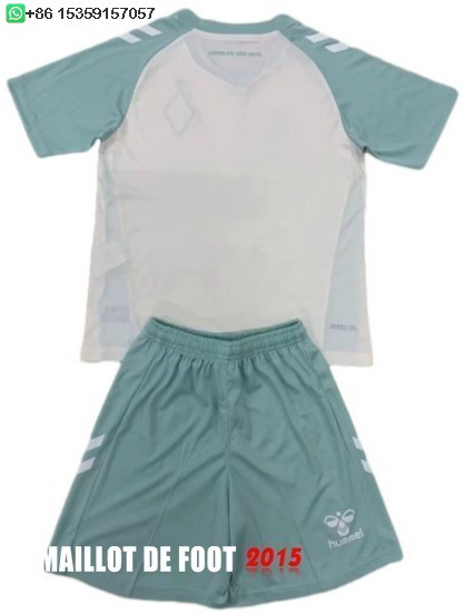 Maillot De Foot Exterieur Maillot Ensemble Complet Homme Werder Bremen 24/25