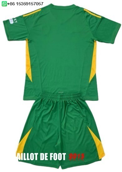 Maillot De Foot Gardien Maillot Conjunto De Enfant Leeds United 24/25 Vert