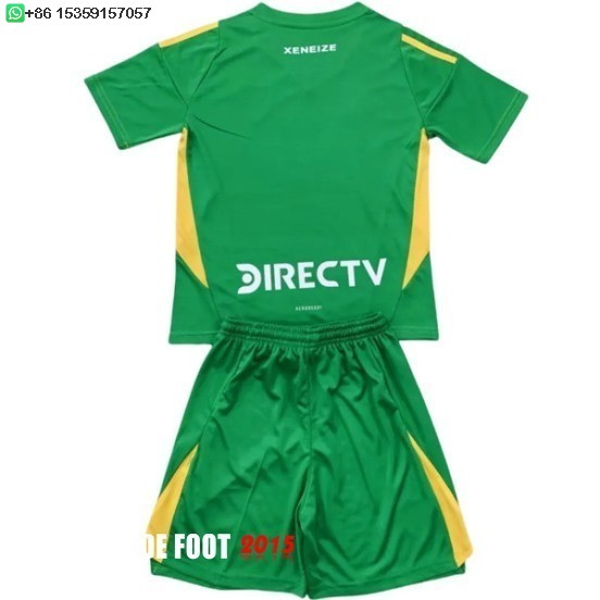 Maillot De Foot Gardien Maillot Ensemble Complet Homme Boca Juniors 24/25 Vert