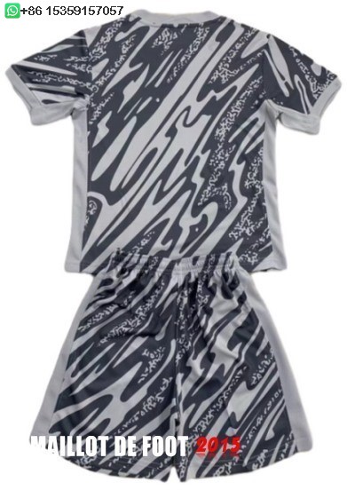 Maillot De Foot Gardien Maillot Ensemble Complet Homme Paris Saint Germain 24/25 Gris