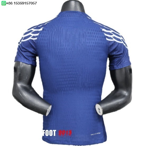 Maillot De Foot Joueurs Fourth Maillot Paris Saint Germain 24/25