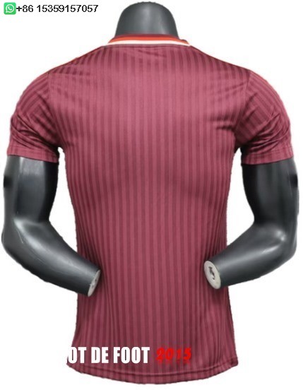 Maillot De Foot Spécial Joueurs Maillot Bayern Munich 24/25 I Rouge