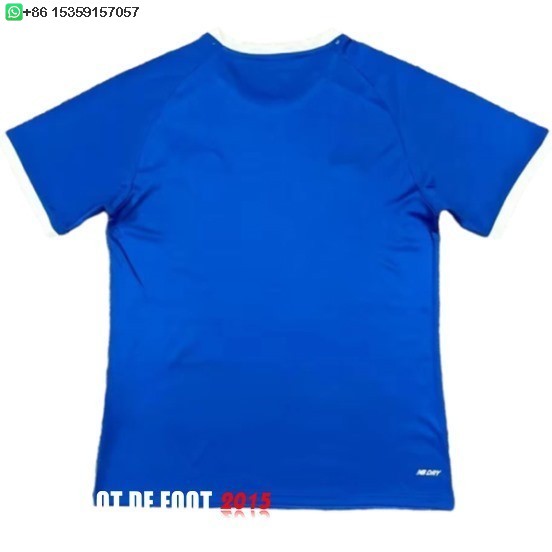 Maillot De Foot Thailande Domicile Maillot Cardiff City 24/25
