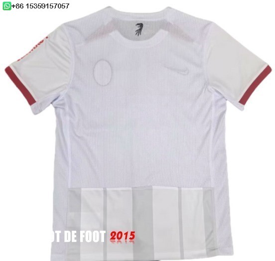 Maillot De Foot Thailande Exterieur Maillot Freiburg 24/25