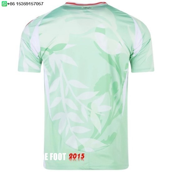 Maillot De Foot Thailande Exterieur Maillot Italie 2025
