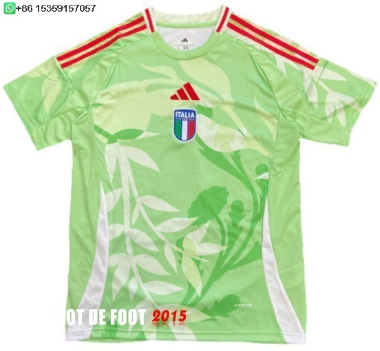 Maillot De Foot Thailande Exterieur Maillot Italie 2025