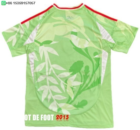 Maillot De Foot Thailande Exterieur Maillot Italie 2025