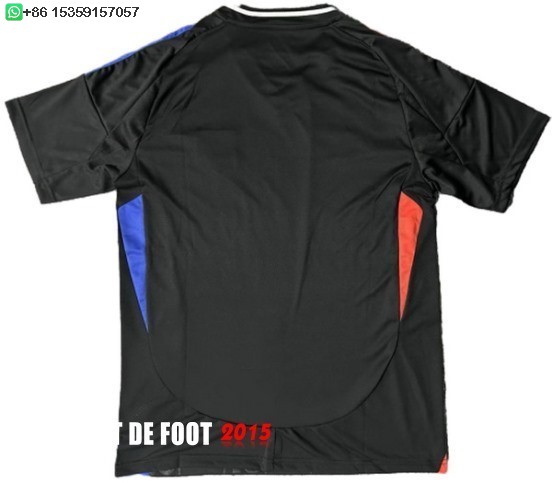 Maillot De Foot Thailande Exterieur Maillot Lyonnais 24/25