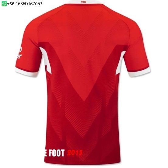 Maillot De Foot Thailande Exterieur Maillot Stuttgart 24/25