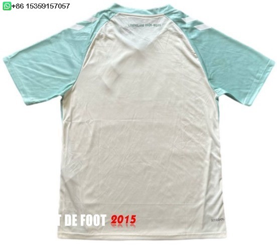 Maillot De Foot Thailande Exterieur Maillot Werder Bremen 24/25
