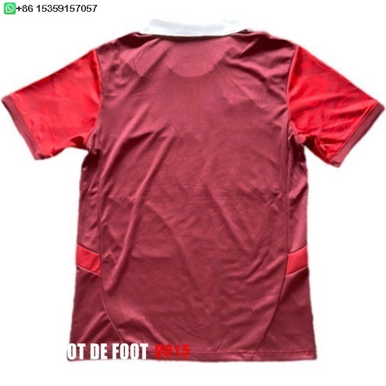 Maillot De Foot Thailande Spécial Maillot Portugal 2025 Rouge