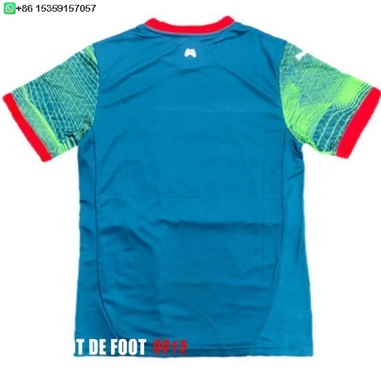 Maillot De Foot Thailande Spécial Maillot Portugal 2025 Vert