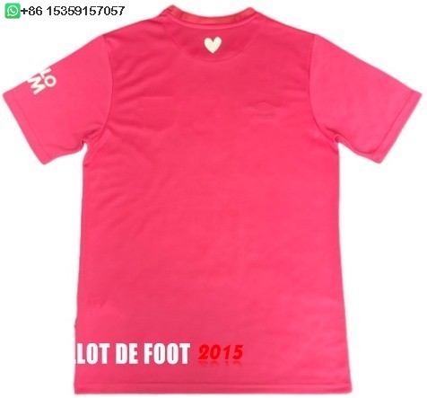 Maillot De Foot Thailande Third Maillot Ipswich Town 24/25