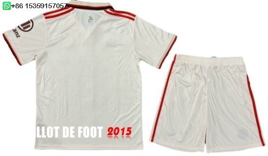 Maillot De Foot Third Maillot Ensemble Complet Homme Bayern Munich 24/25