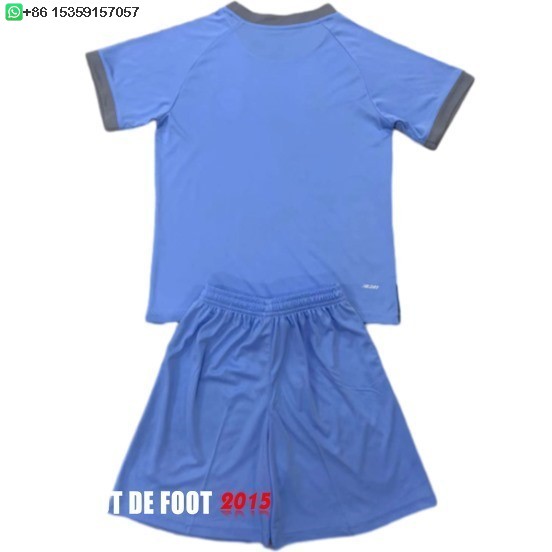 Maillot De Foot Third Maillot Ensemble Complet Homme Cardiff City 24/25