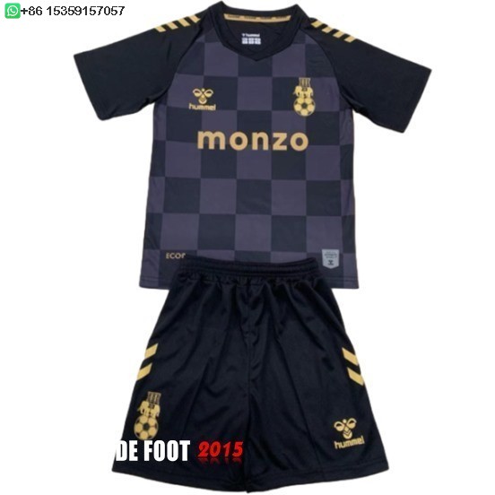 Maillot De Foot Third Maillot Ensemble Complet Homme Coventry City 24/25