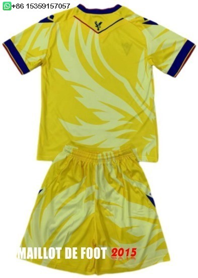 Maillot De Foot Third Maillot Ensemble Complet Homme Crystal Palace 24/25