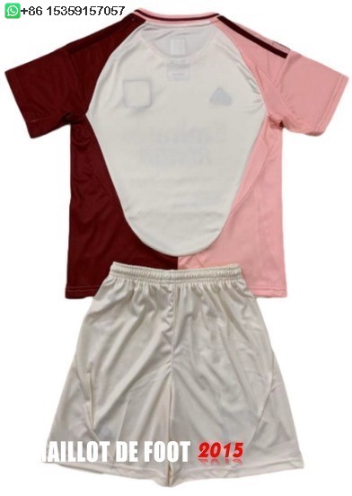 Maillot De Foot Third Maillot Ensemble Complet Homme Lyonnais 24/25