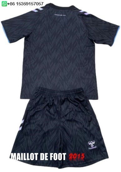 Maillot De Foot Third Maillot Ensemble Complet Homme Werder Bremen 24/25