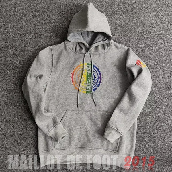 Maillot De Foot Sweats à Capuche Allemagne 2022 I Gris