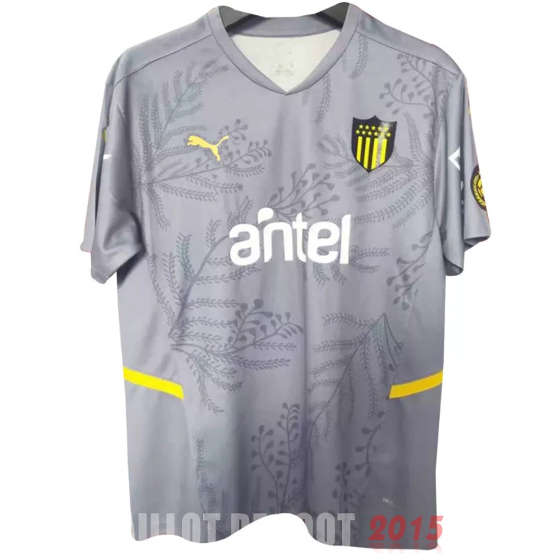 Maillot De Foot Thailande Exterieur Maillot Penarol 22/23 Gris