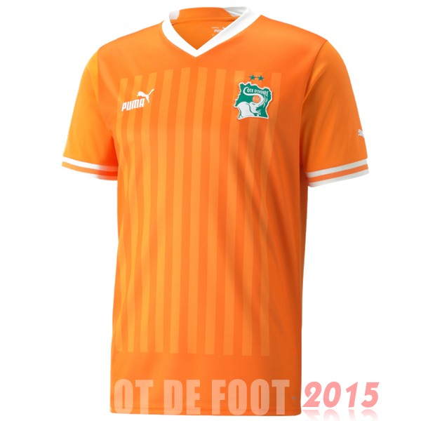 Maillot De Foot Thailande Domicile Maillot Côte d'Ivoire 2022 Orange