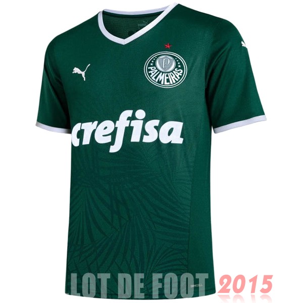 Maillot De Foot Domicile Maillot Palmeiras 22/23 Vert