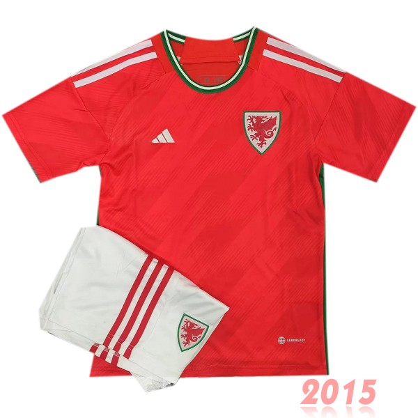 Maillot De Foot Domicile Conjunto De Enfant Pays de Galles 2022 Rouge