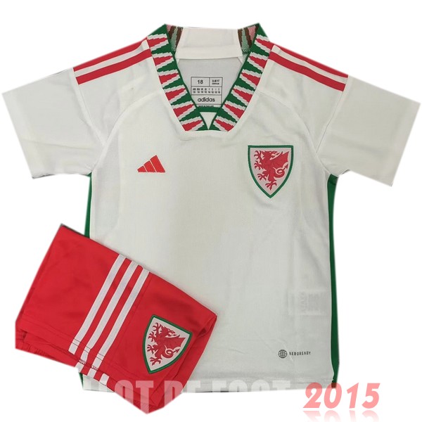 Maillot De Foot Exterieur Conjunto De Enfant Pays de Galles 2022 Blanc