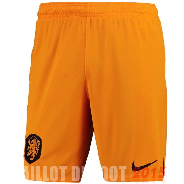 Maillot De Foot Domicile Pantalon Pays Bas 2022 Jaune