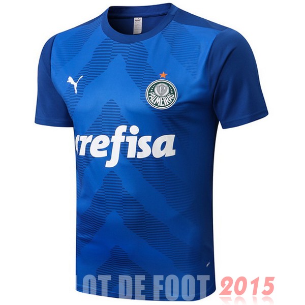 Maillot De Foot Entrainement Palmeiras 22/23 Bleu