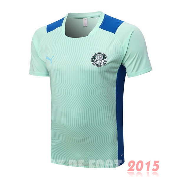 Maillot De Foot Entrainement Palmeiras 22/23 Vert Clair