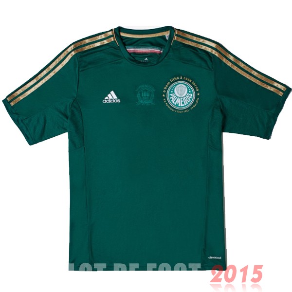 Maillot De Foot Domicile Maillot Palmeiras Rétro 1994 Vert