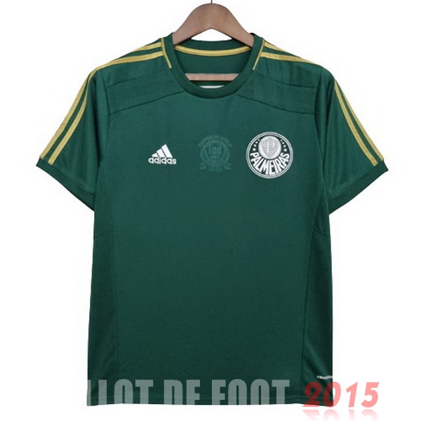 Maillot De Foot Domicile Maillot Palmeiras Rétro 2014 2015 Vert