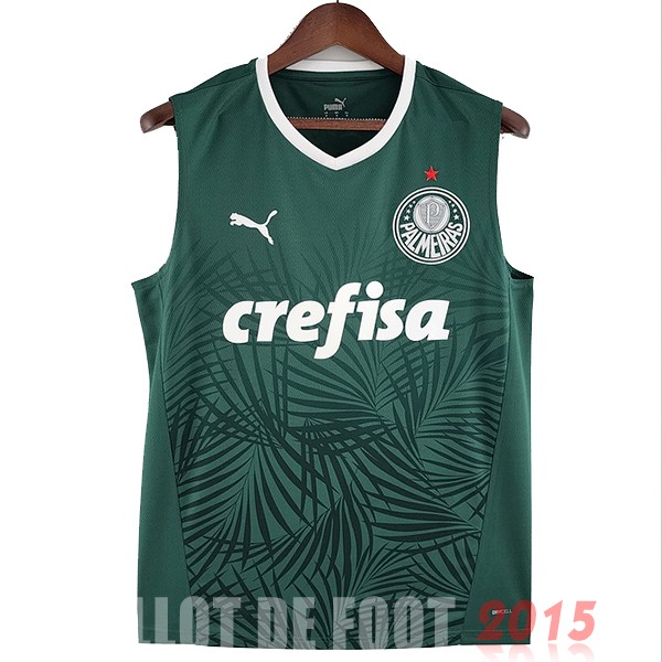 Maillot De Foot Domicile Maillot Sans Manches Palmeiras 22/23 Vert