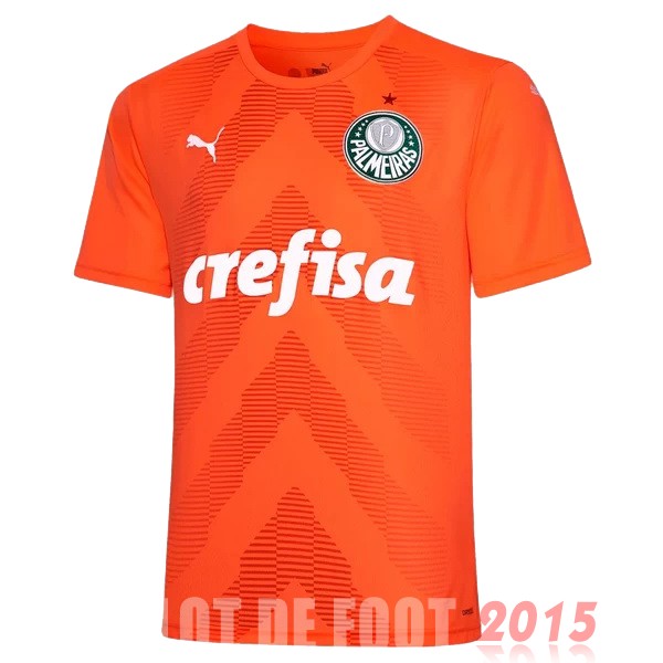 Maillot De Foot Thailande Gardien Maillot Palmeiras 22/23 Orange