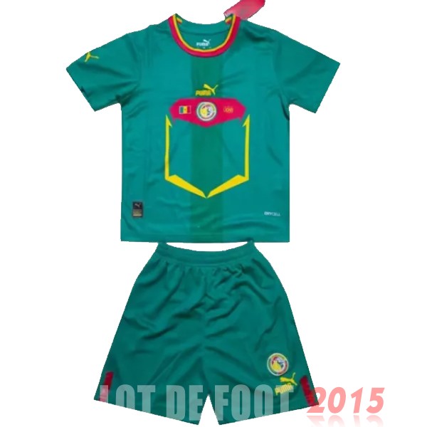 Maillot De Foot Exterieur Conjunto De Enfant Sénégal 2022 Vert