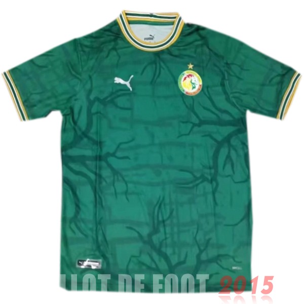 Maillot De Foot Thailande Spécial Maillot Sénégal 2022 Vert